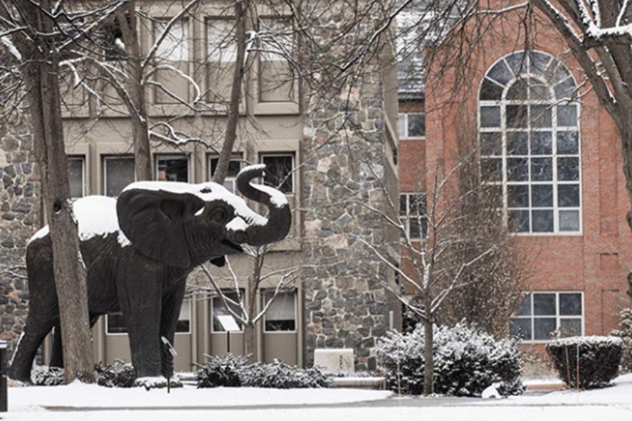 Jumbo the elephant covered in snow